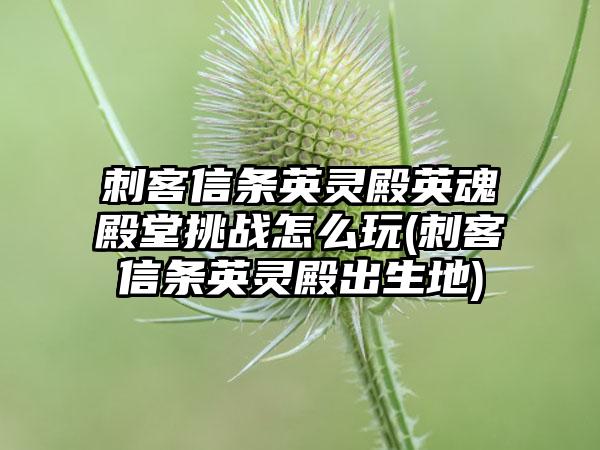 暗黑破坏神不朽死灵法师宝石选什么(死灵法师宝石选择)