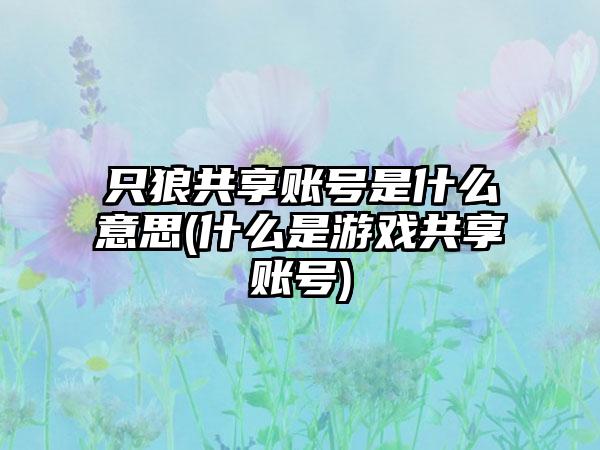 只狼共享账号是什么意思(什么是游戏共享账号)