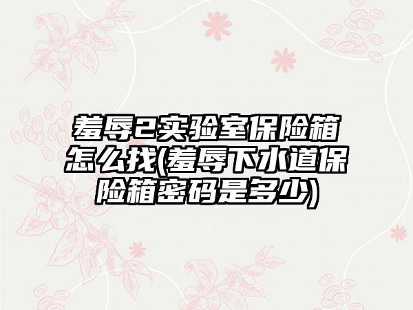 羞辱2实验室保险箱怎么找(羞辱下水道保险箱密码是多少)
