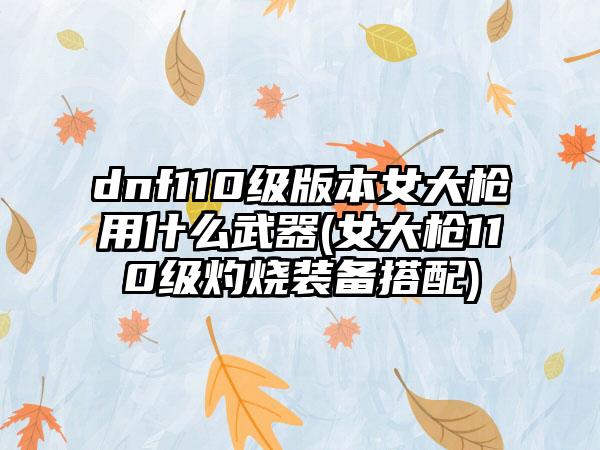 dnf110级版本女大枪用什么武器(女大枪110级灼烧装备搭配)