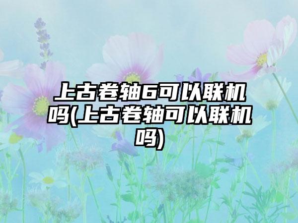 上古卷轴6可以联机吗(上古卷轴可以联机吗)