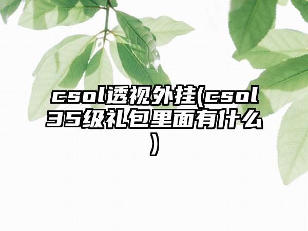 csol透视外挂(csol35级礼包里面有什么)