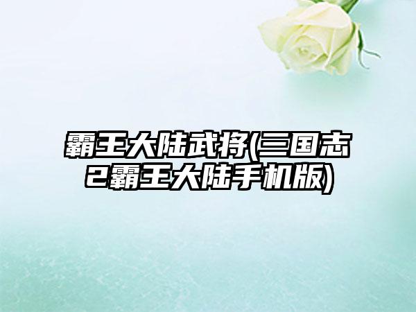 霸王大陆武将(三国志2霸王大陆手机版)