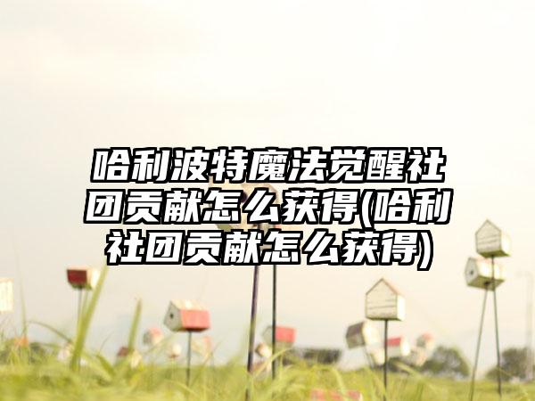 哈利波特魔法觉醒社团贡献怎么获得(哈利社团贡献怎么获得)