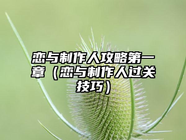 恋与制作人攻略第一章（恋与制作人过关技巧）