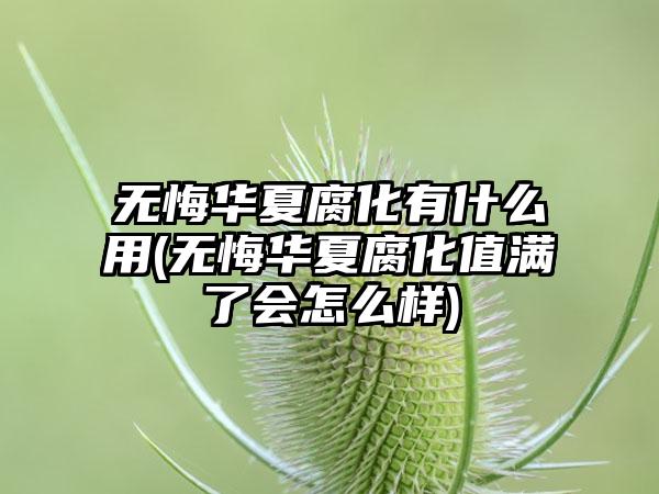 无悔华夏腐化有什么用(无悔华夏腐化值满了会怎么样)