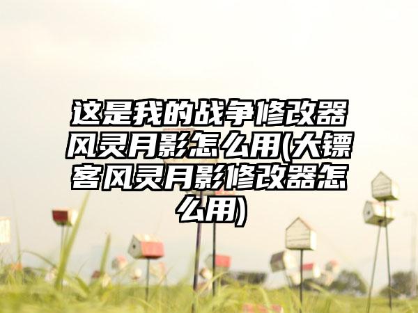 这是我的战争修改器风灵月影怎么用(大镖客风灵月影修改器怎么用)