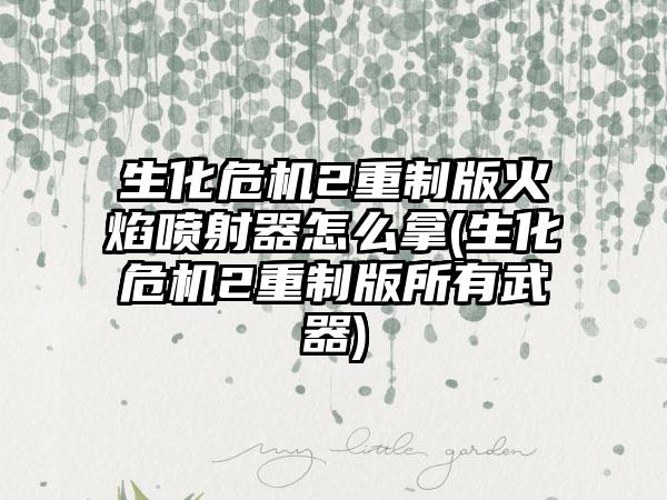 生化危机2重制版火焰喷射器怎么拿(生化危机2重制版所有武器)