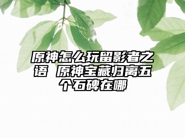 原神怎么玩留影者之语 原神宝藏归离五个石碑在哪