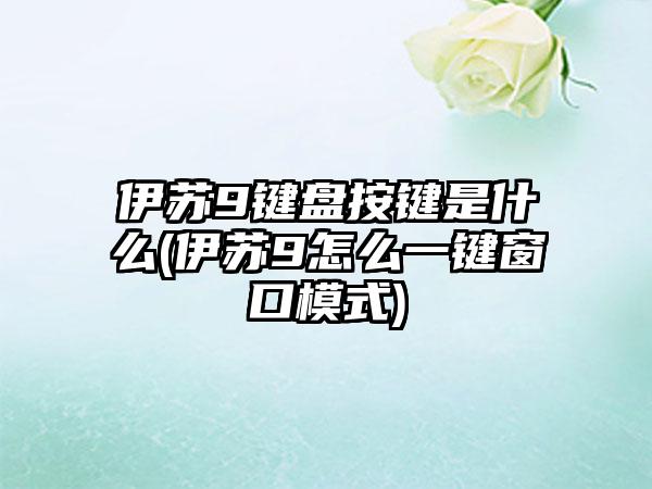 伊苏9键盘按键是什么(伊苏9怎么一键窗口模式)