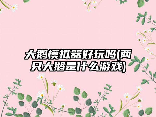 大鹅模拟器好玩吗(两只大鹅是什么游戏)