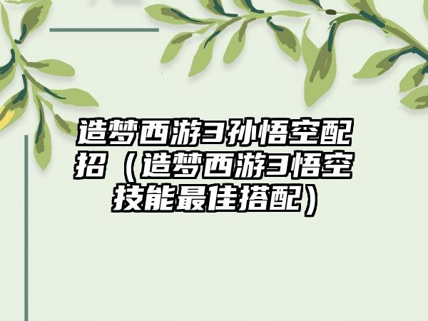 造梦西游3孙悟空配招（造梦西游3悟空技能最佳搭配）