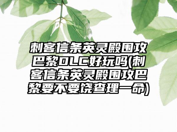 刺客信条英灵殿围攻巴黎DLC好玩吗(刺客信条英灵殿围攻巴黎要不要饶查理一命)