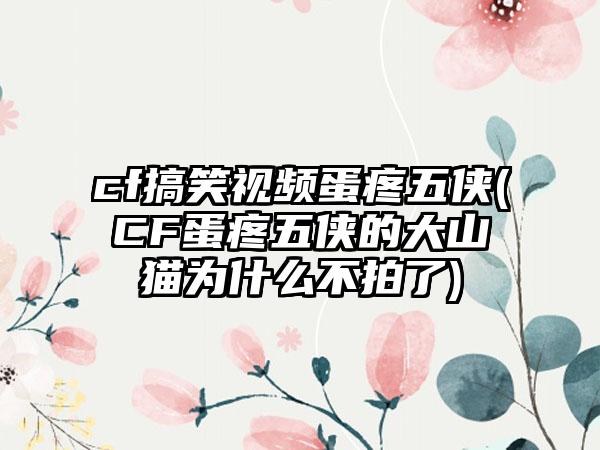 cf搞笑视频蛋疼五侠(CF蛋疼五侠的大山猫为什么不拍了)