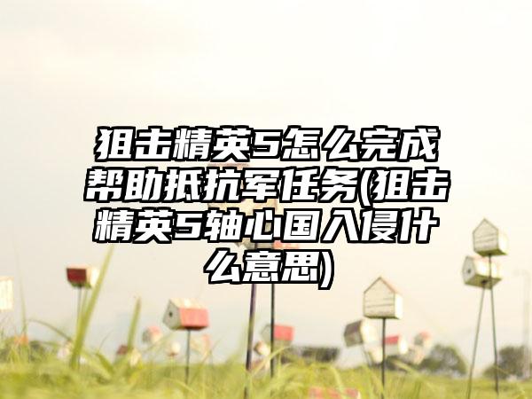 狙击精英5怎么完成帮助抵抗军任务(狙击精英5轴心国入侵什么意思)