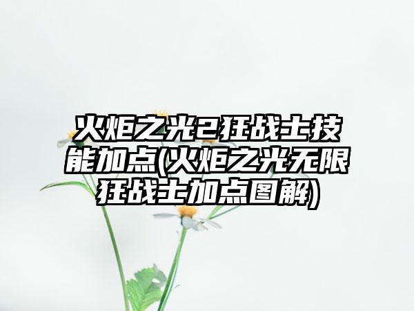 火炬之光2狂战士技能加点(火炬之光无限狂战士加点图解)