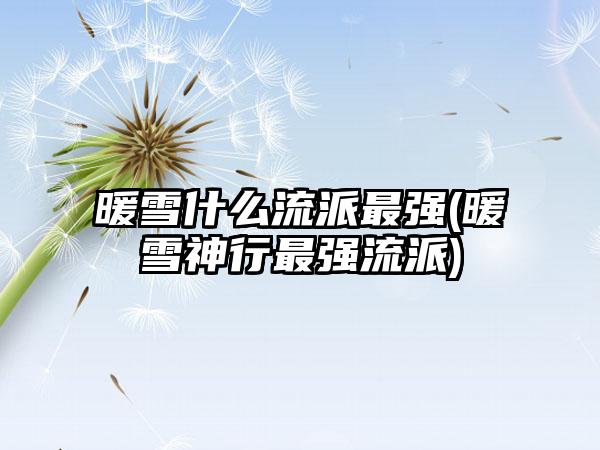 暖雪什么流派最强(暖雪神行最强流派)