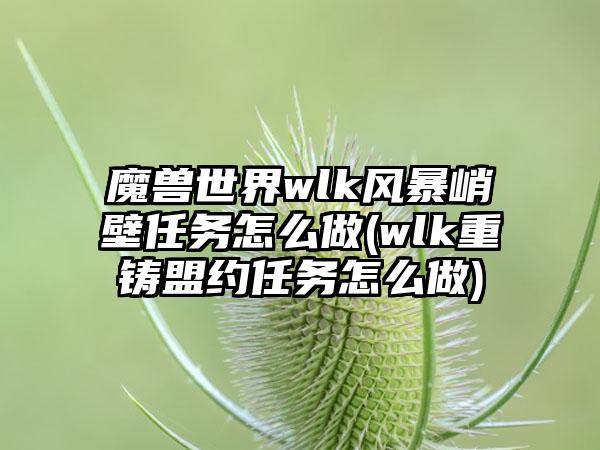魔兽世界wlk风暴峭壁任务怎么做(wlk重铸盟约任务怎么做)