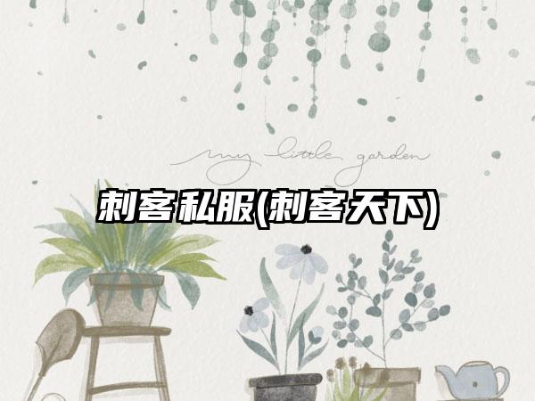 刺客私服(刺客天下)