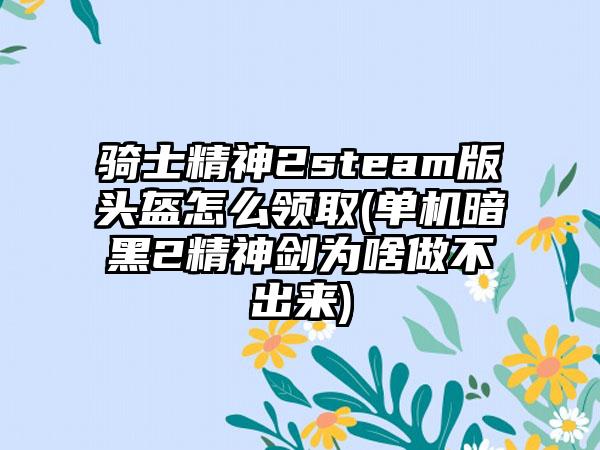 骑士精神2steam版头盔怎么领取(单机暗黑2精神剑为啥做不出来)