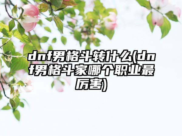 dnf男格斗转什么(dnf男格斗家哪个职业最厉害)