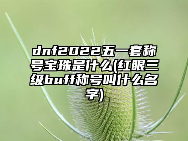 dnf2022五一套称号宝珠是什么(红眼三级buff称号叫什么名字)