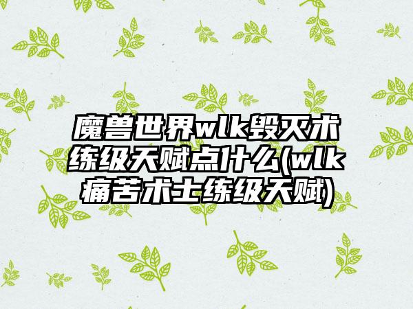 魔兽世界wlk毁灭术练级天赋点什么(wlk痛苦术士练级天赋)
