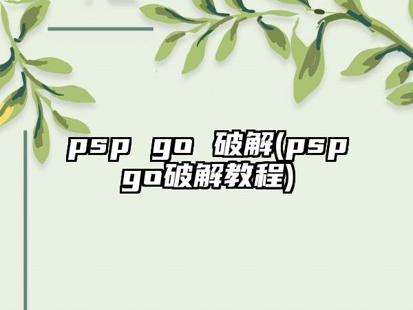 psp go 破解(pspgo破解教程)