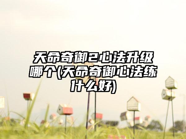 天命奇御2心法升级哪个(天命奇御心法练什么好)