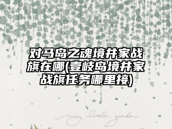 对马岛之魂境井家战旗在哪(壹岐岛境井家战旗任务哪里接)