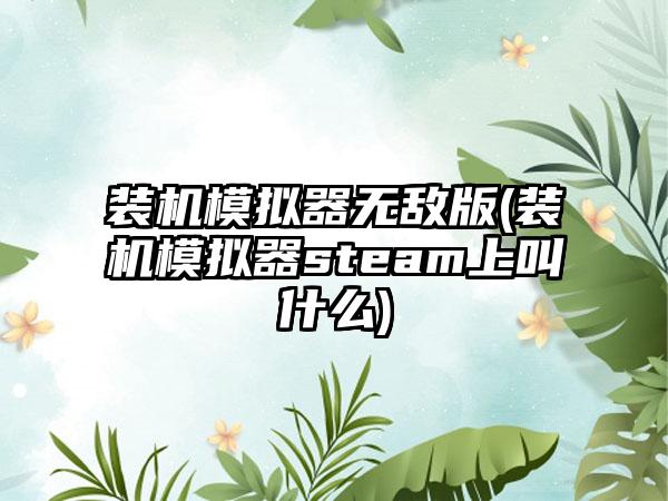 装机模拟器无敌版(装机模拟器steam上叫什么)