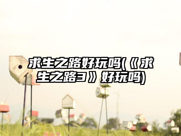 求生之路好玩吗(《求生之路3》好玩吗)
