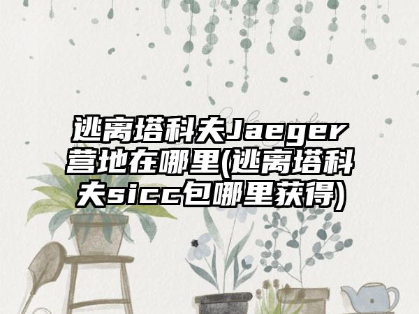 逃离塔科夫Jaeger营地在哪里(逃离塔科夫sicc包哪里获得)