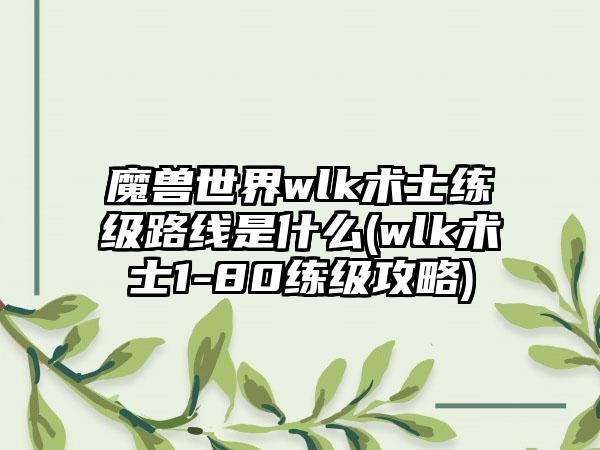 魔兽世界wlk术士练级路线是什么(wlk术士1-80练级攻略)