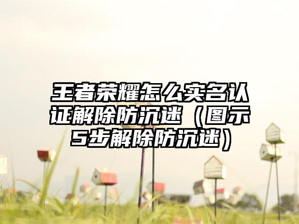 王者荣耀怎么实名认证解除防沉迷（图示5步解除防沉迷）