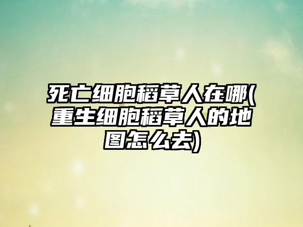 死亡细胞稻草人在哪(重生细胞稻草人的地图怎么去)