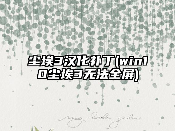 尘埃3汉化补丁(win10尘埃3无法全屏)