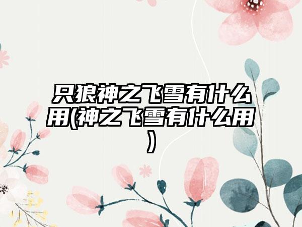 只狼神之飞雪有什么用(神之飞雪有什么用)