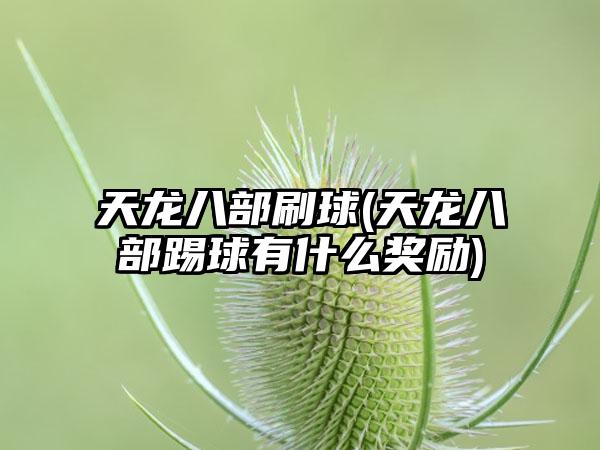 天龙八部刷球(天龙八部踢球有什么奖励)