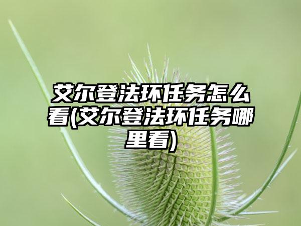 艾尔登法环任务怎么看(艾尔登法环任务哪里看)