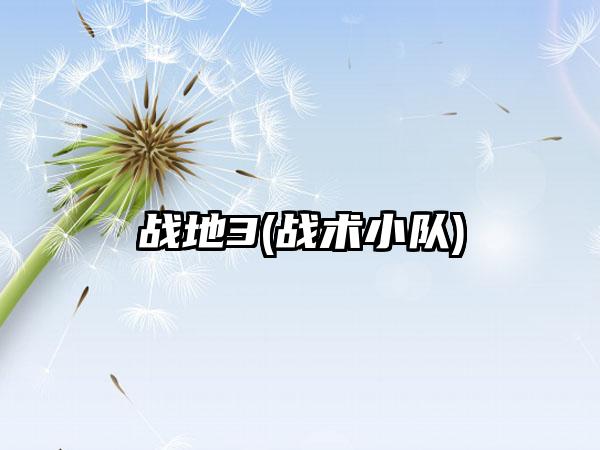 战地3(战术小队)