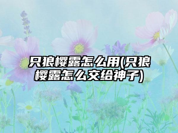 只狼樱露怎么用(只狼樱露怎么交给神子)