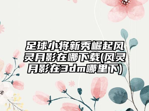 足球小将新秀崛起风灵月影在哪下载(风灵月影在3dm哪里下)