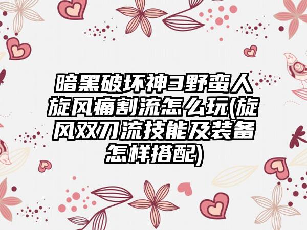 暗黑破坏神3野蛮人旋风痛割流怎么玩(旋风双刀流技能及装备怎样搭配)