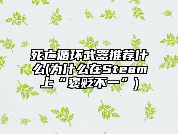 死亡循环武器推荐什么(为什么在Steam上“褒贬不一”)