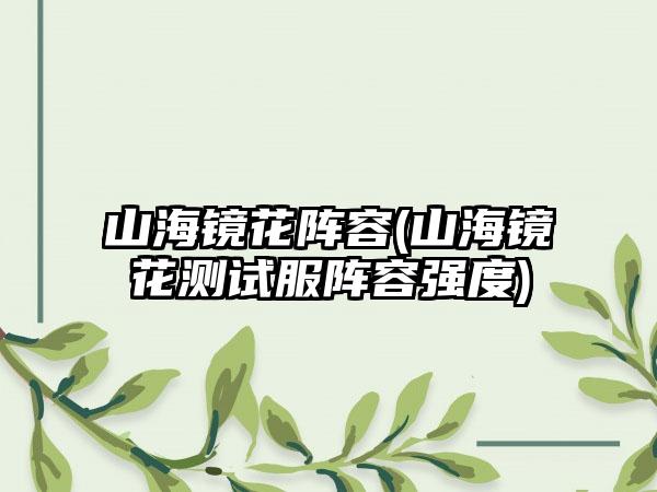 山海镜花阵容(山海镜花测试服阵容强度)