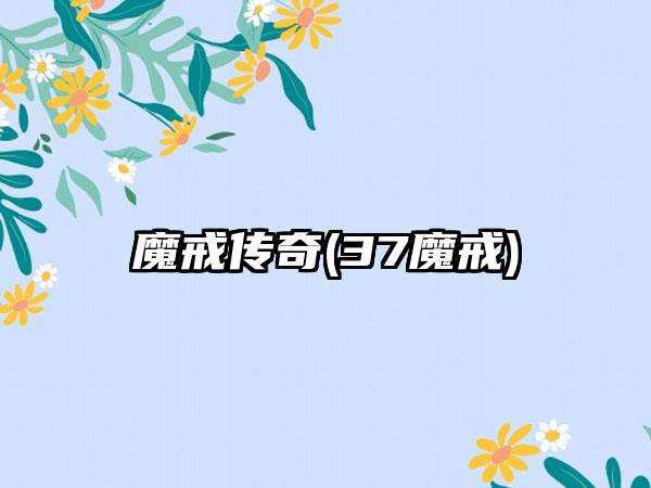 魔戒传奇(37魔戒)