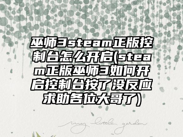 巫师3steam正版控制台怎么开启(steam正版巫师3如何开启控制台按了没反应求助各位大哥了)