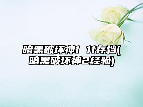 暗黑破坏神1 11存档(暗黑破坏神2经验)