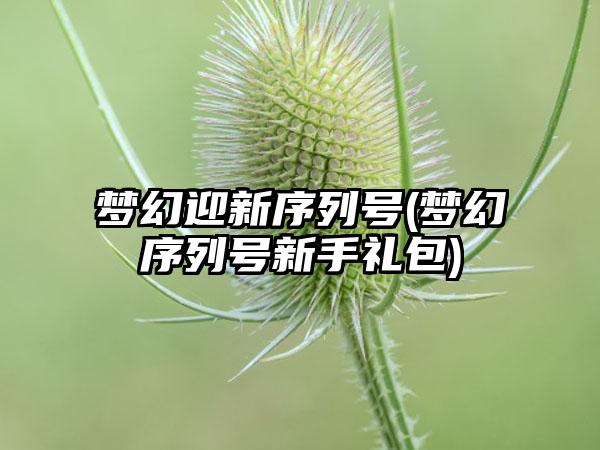 梦幻迎新序列号(梦幻序列号新手礼包)